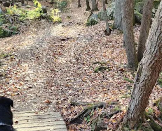 Black Rock State Park Campground