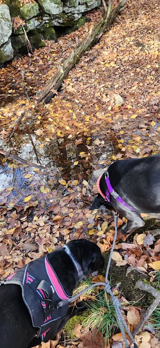 Black Rock State Park Campground 1