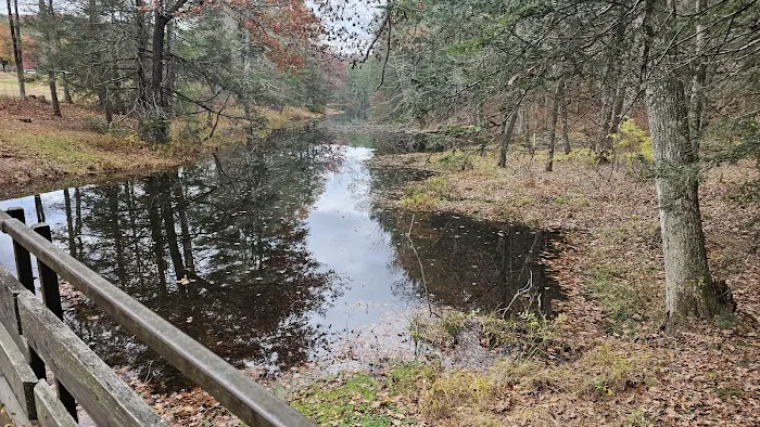 Black Rock State Park Campground 6