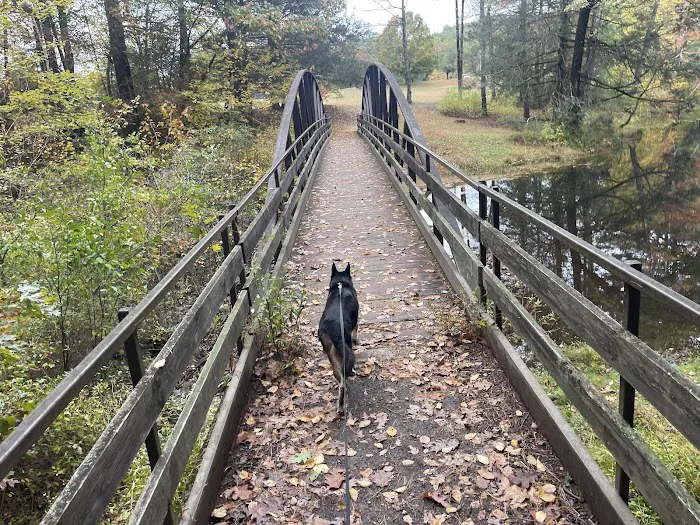Black Rock State Park Campground 4