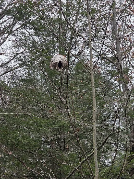 Black Rock State Park Campground 5