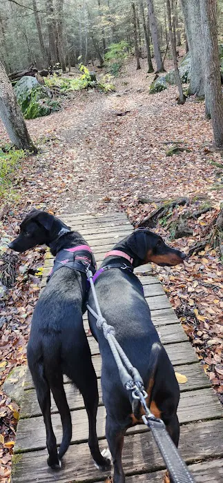 Black Rock State Park Campground 3