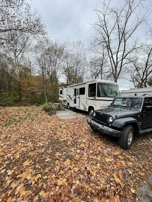 Branch Brook Campground 5