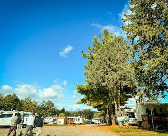 Lone Oak Campsites