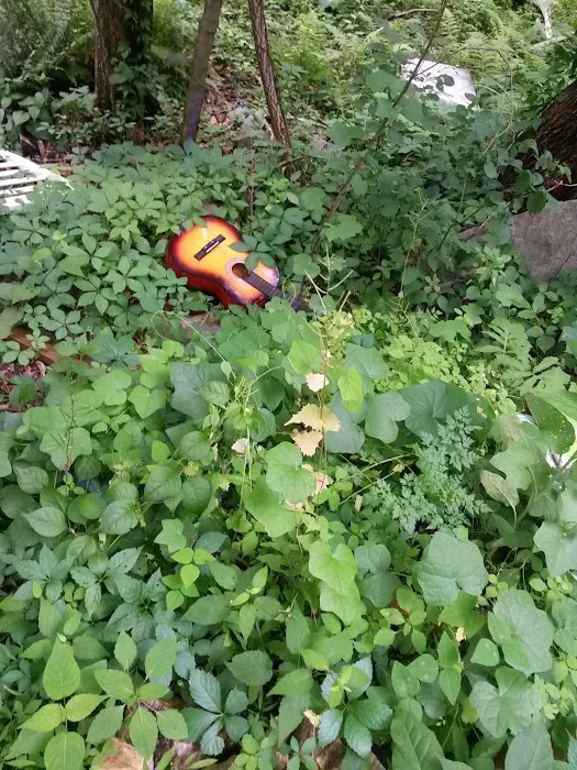 Hoyt Scout Reservation, Scouting America 5