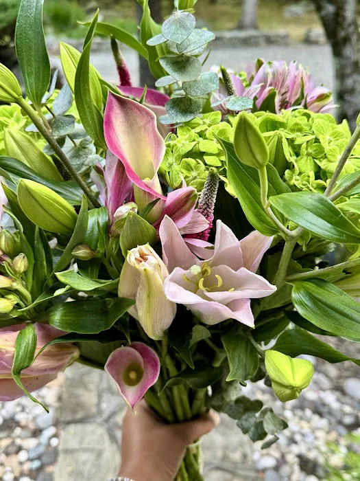 Enchanted Cottage in the Woods 4