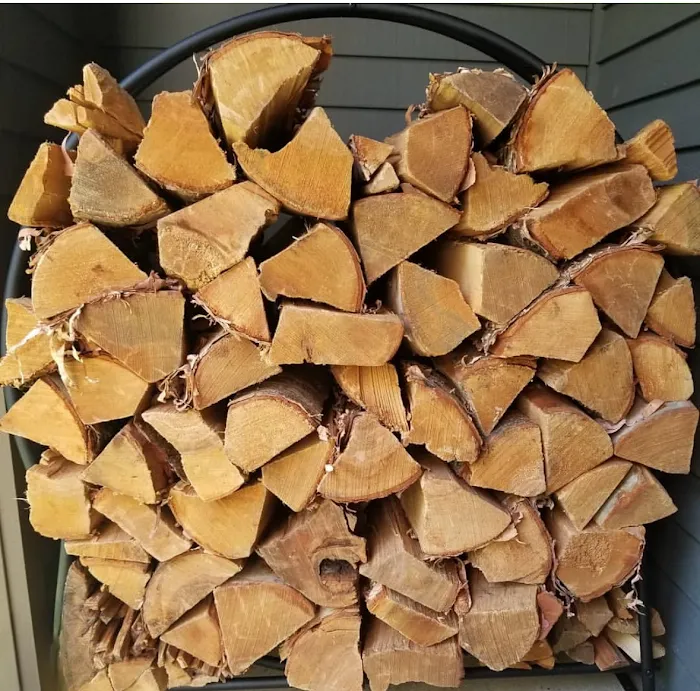 Enchanted Cottage in the Woods 7