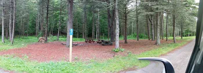Webb Mountain Campsites 8-11 1