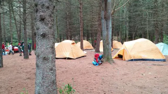 Webb Mountain Campsites 8-11 3