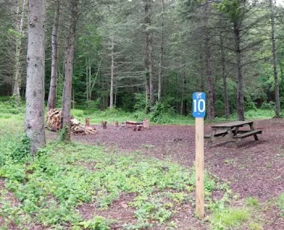 Webb Mountain Campsites 8-11