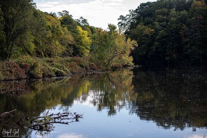 Webb Mountain Campsites 2-7 7