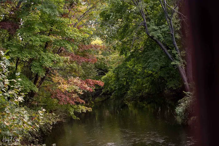 Webb Mountain Campsites 2-7 5