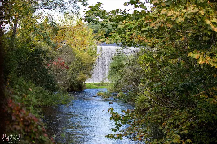 Webb Mountain Campsites 2-7 0