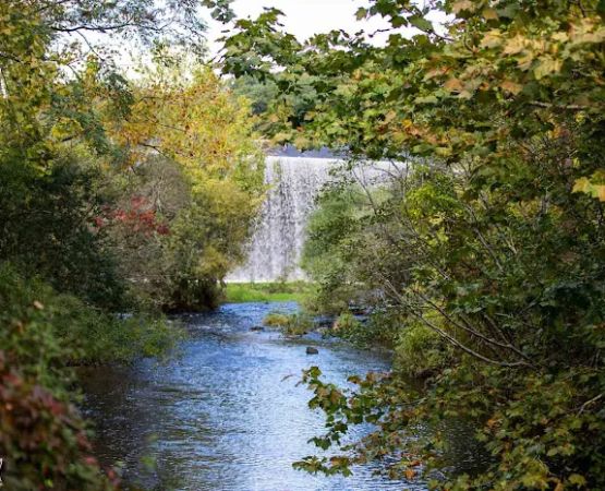 Webb Mountain Campsites 2-7