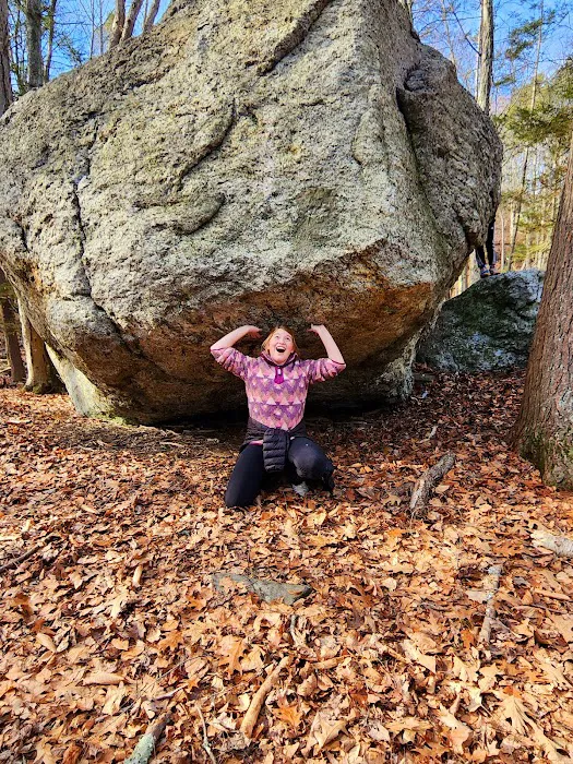 Webb Mountain Campsites 2-7 9