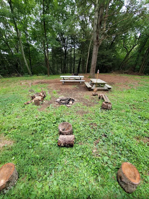 Webb Mountain Campsites 2-7 1