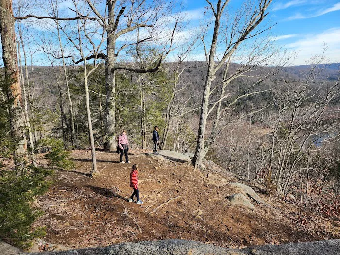 Webb Mountain Campsites 2-7 8