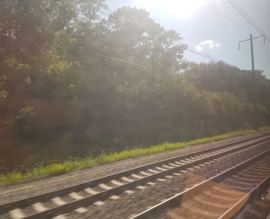 Whispering Pines Mobile Home