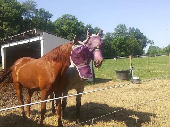 Hip Camp At Bellview Farm 4