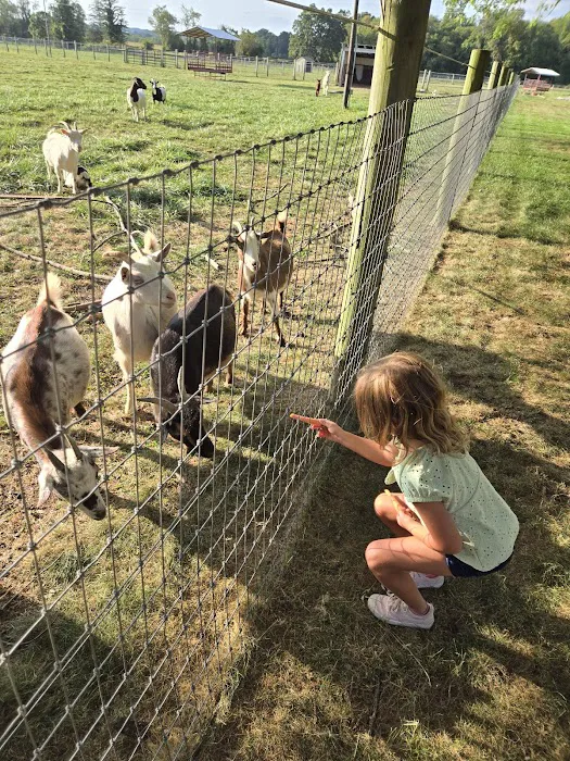 Hip Camp At Bellview Farm 2
