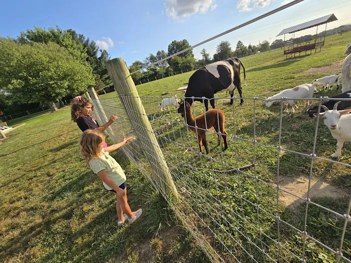Hip Camp At Bellview Farm 6