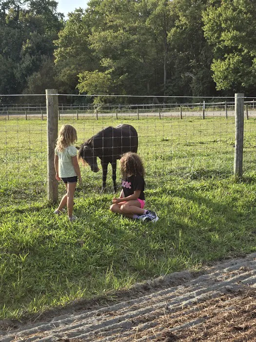 Hip Camp At Bellview Farm 1