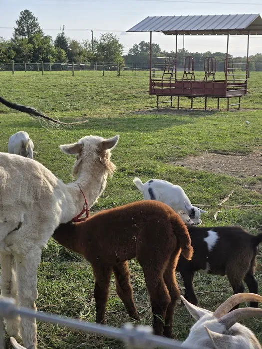 Hip Camp At Bellview Farm 8