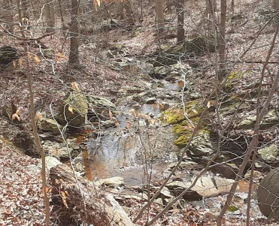 Stoney Chase and Rock Creek MHC