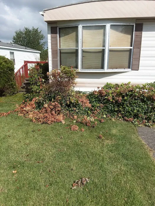 Dover East Estates 2