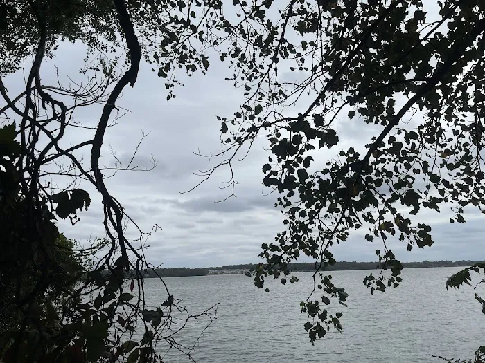 Elk Neck State Park Campground 5