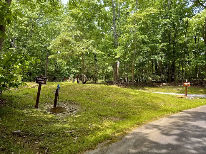 Elk Neck State Park Campground 6