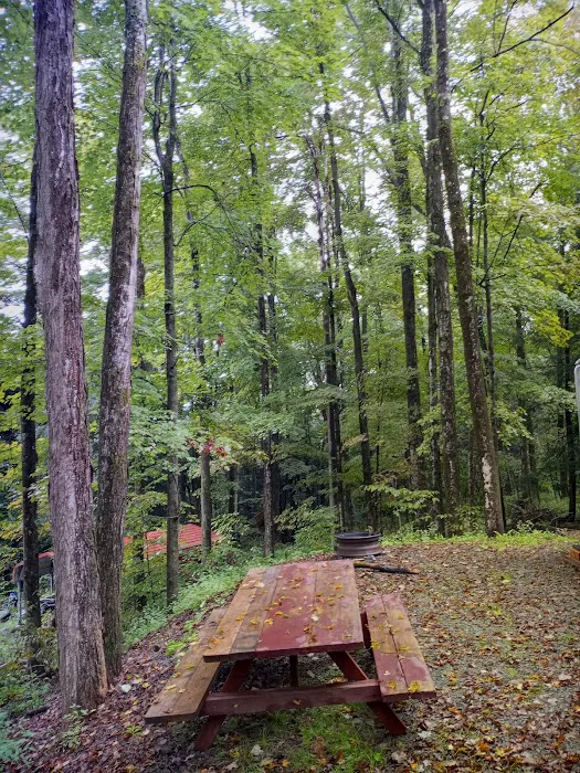 Shady Rest Campground 4