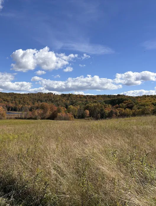 Golf, Fish & Ski: Retreat w/ Game Room in Thompson 5