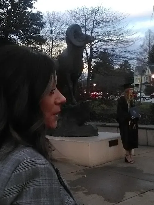 Happy Campers at The Funny Farm 8