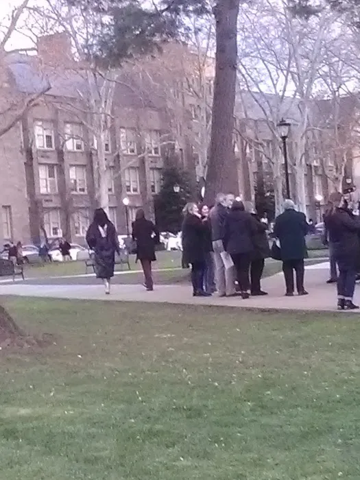 Happy Campers at The Funny Farm 1