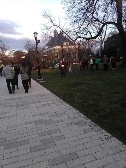 Happy Campers at The Funny Farm 0