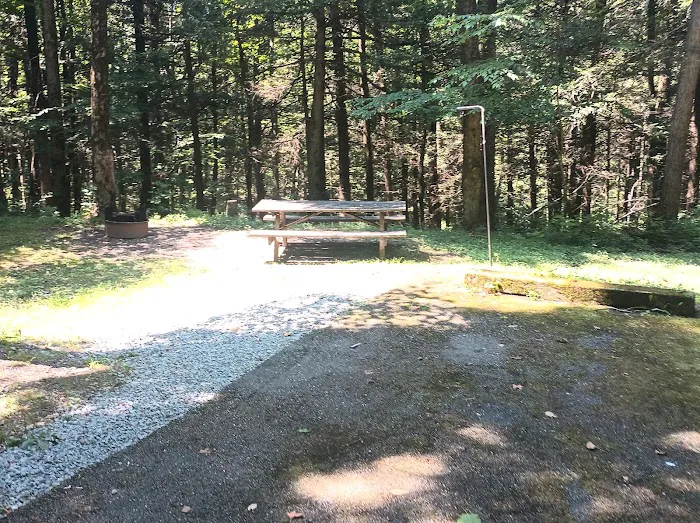 Hemlock Grove Campground Lackawanna State Park 0