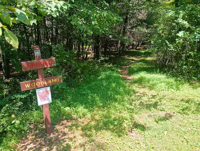 Hemlock Grove Campground Lackawanna State Park 1