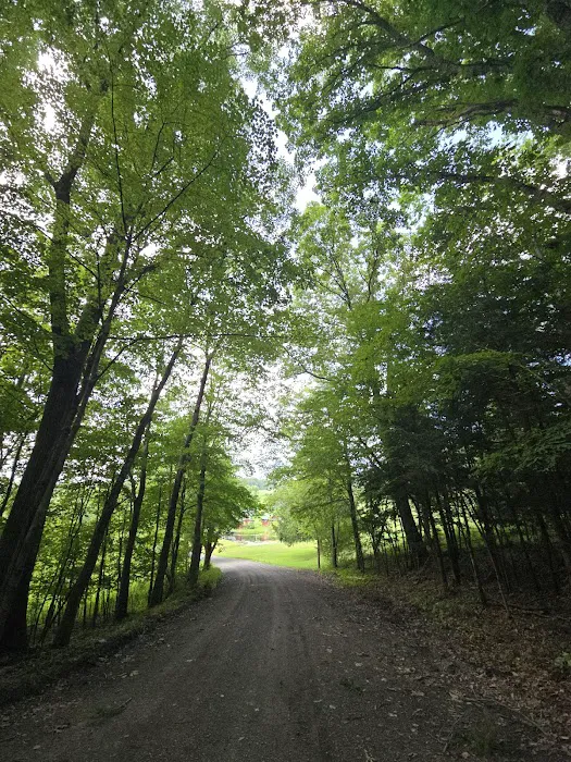 Benton Hills Mobile Home Park 7