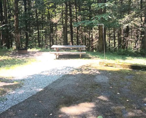Maples Camping Area