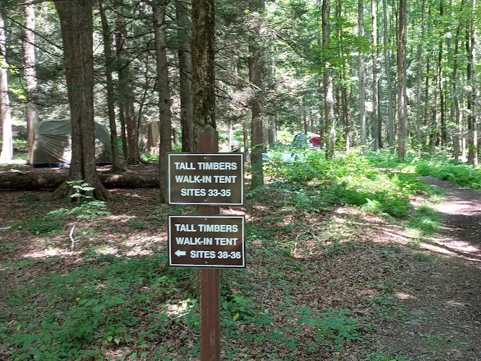 Carpenter Town Camping 4