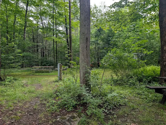 Carpenter Town Camping 3