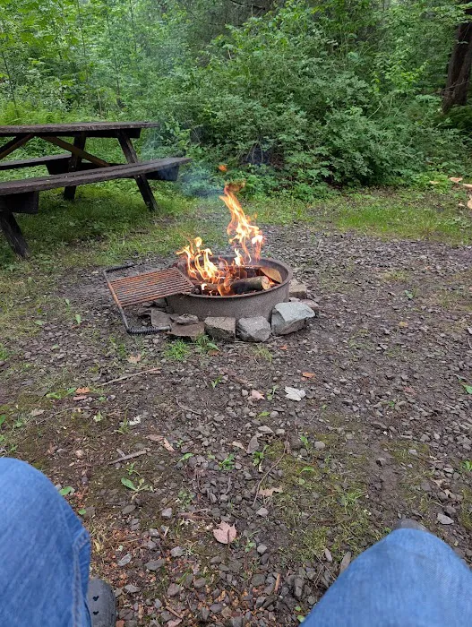 Carpenter Town Camping 2