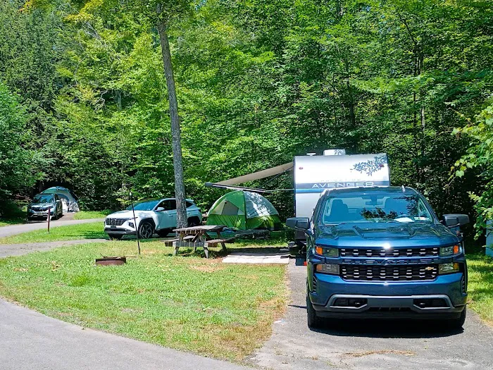 Carpenter Town Camping 7