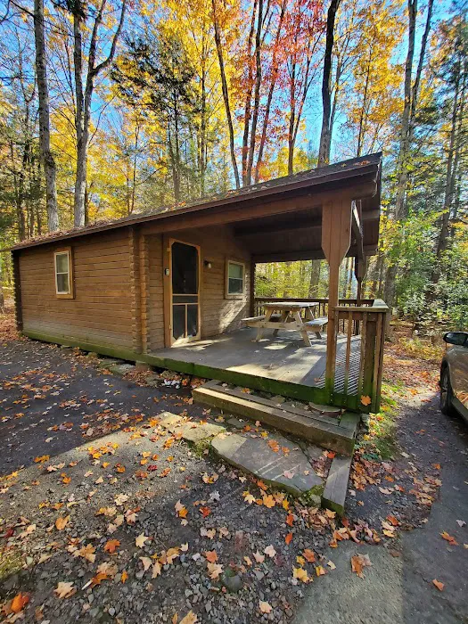 Lackawanna state park campground 4