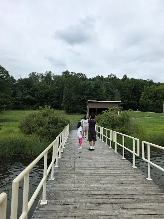 Lackawanna state park campground 7