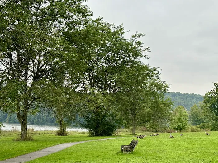 Lackawanna state park campground 8