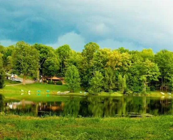 Shore Forest Campground