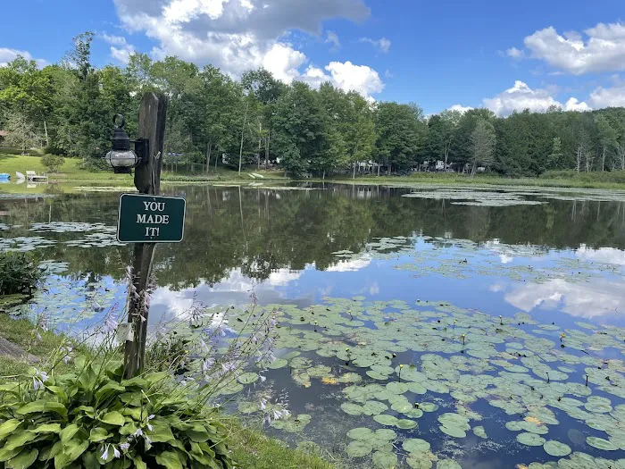 Shore Forest Campground 6