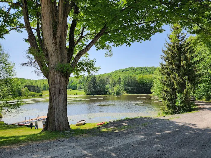 Shore Forest Campground 8